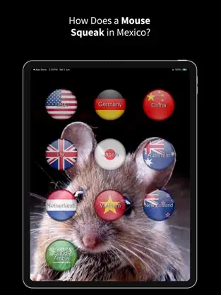 Animal Translate screenshot