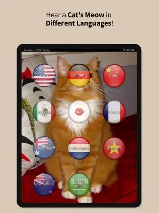 Animal Translate screenshot
