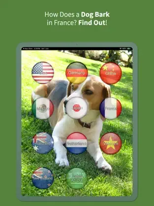 Animal Translate screenshot
